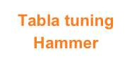 Tabla tuning
Hammer